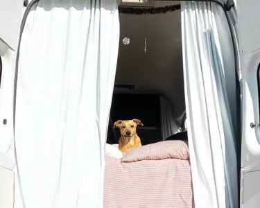 Photo du véhicule
