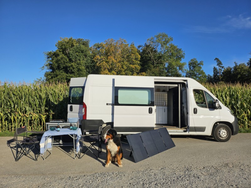 Photo of the vehicle