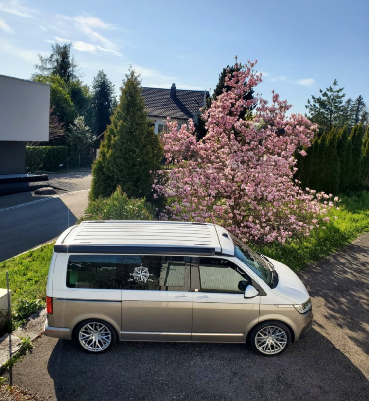 VW California Van - Uetikon am See, Suisse
