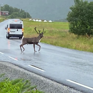 Foto des Fahrzeugs