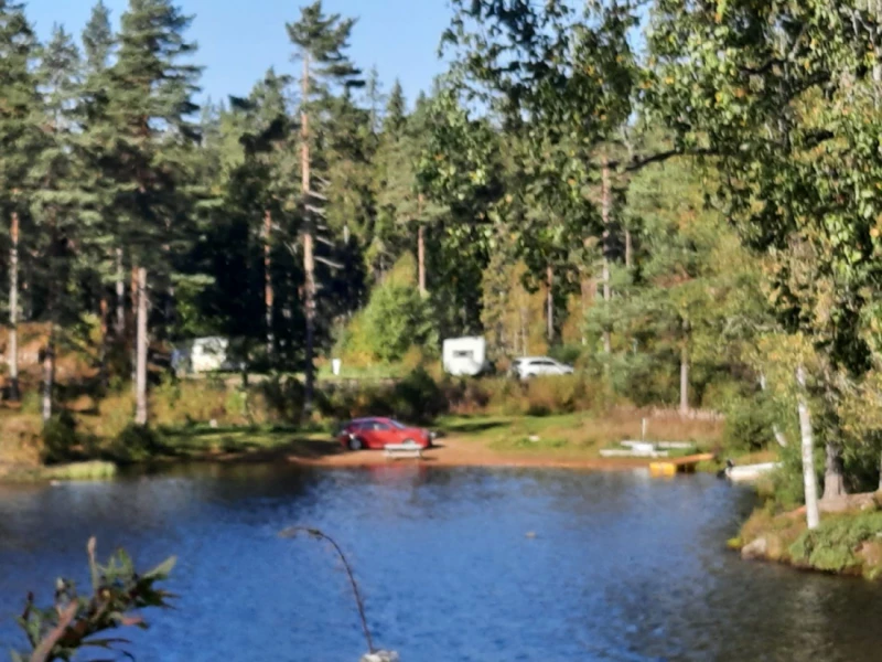 Foto des Fahrzeugs