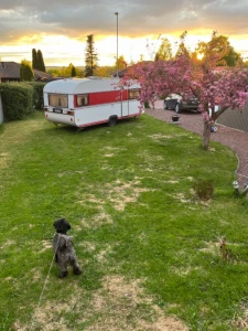 Photo of the vehicle