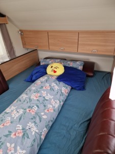 Fordonsbild