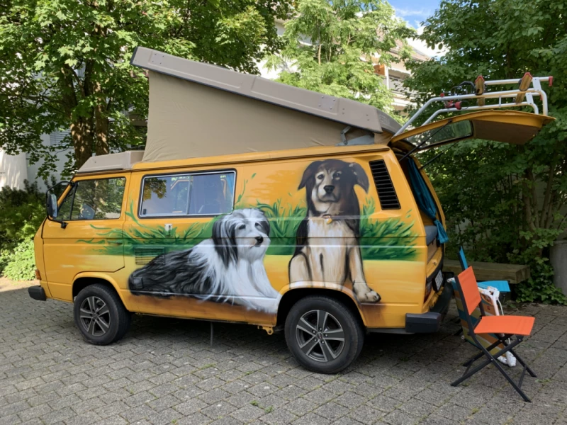 Foto des Fahrzeugs