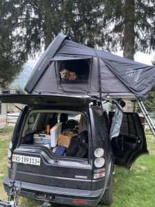 Bilde av kjøretøyet