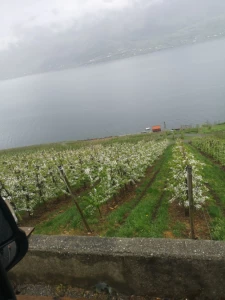 Foto des Fahrzeugs