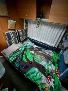 Photo du véhicule