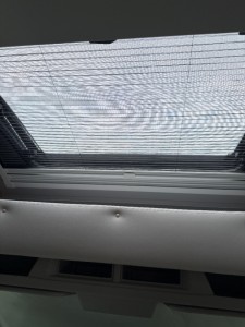 Foto des Fahrzeugs