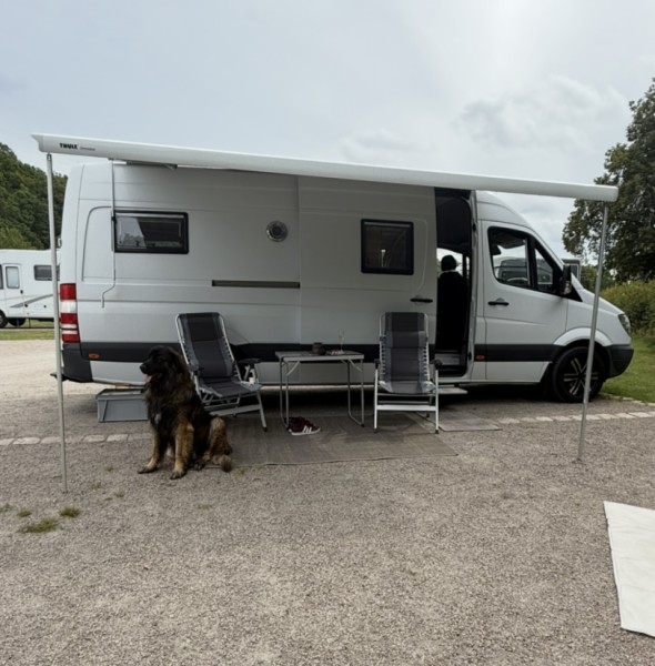 Bilde av kjøretøyet