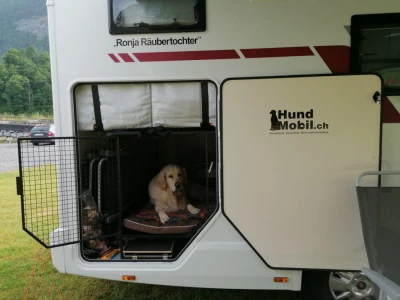 Photo of the vehicle