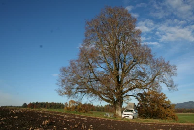 Photo du véhicule