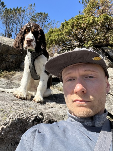 Foto von Robin