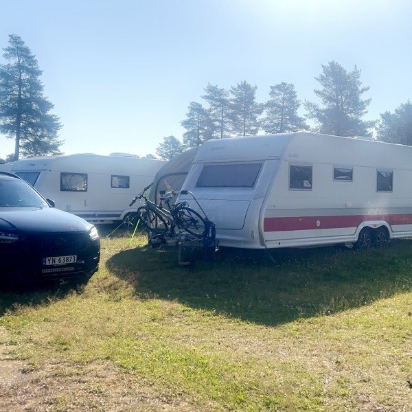 Profilbilde for Tomas