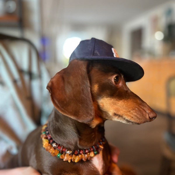 Profilbild på Melodie