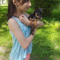 Photo of Rojda