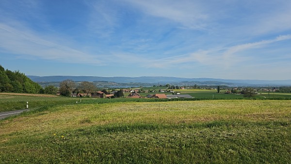 Foto von Sarah