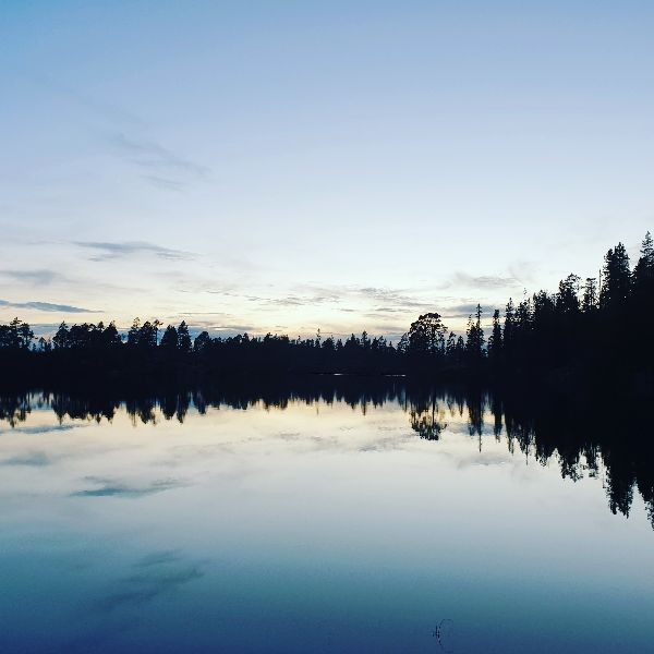 Profilbilde for Stein Magne Osmoen